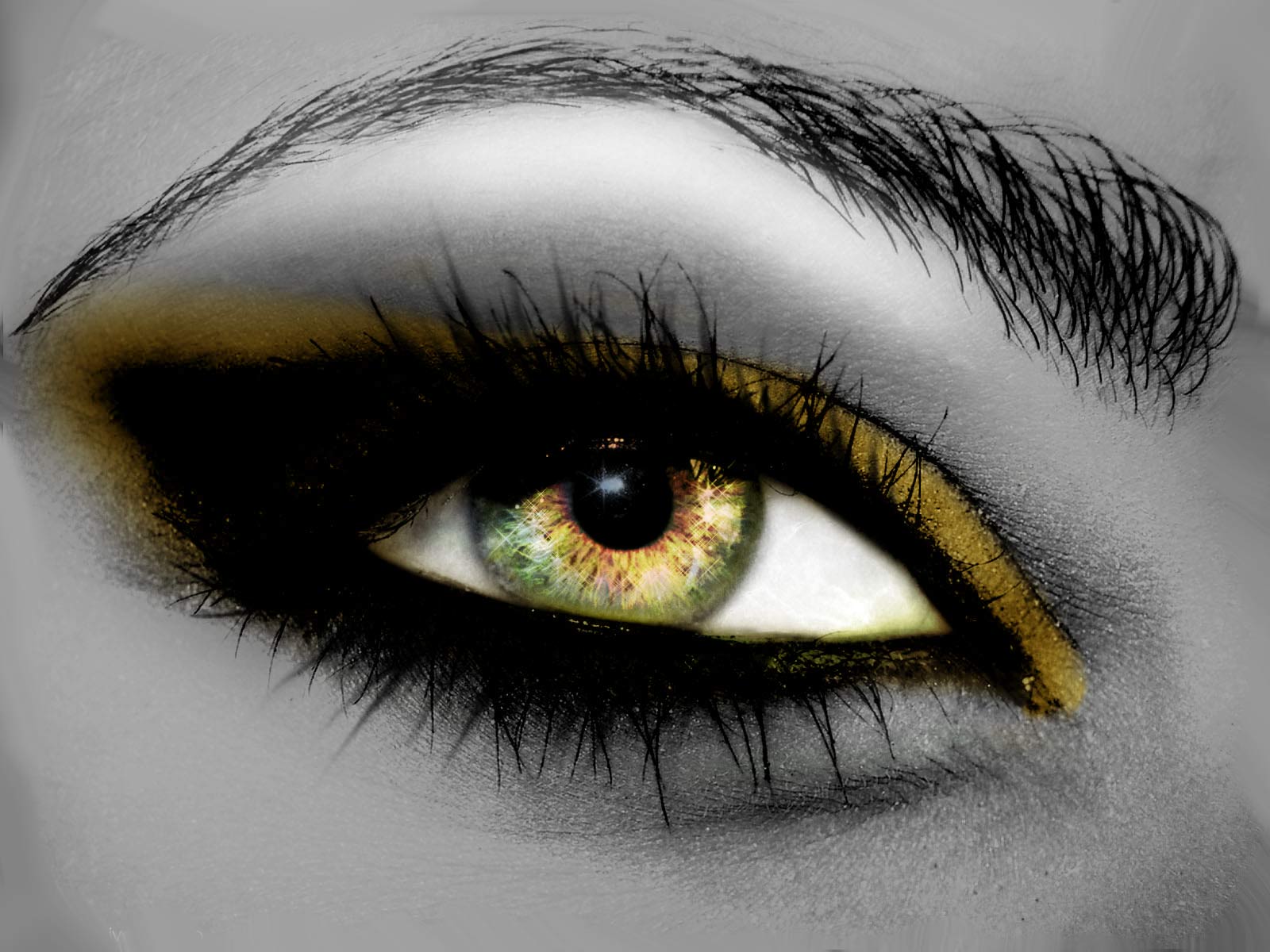 le regard
